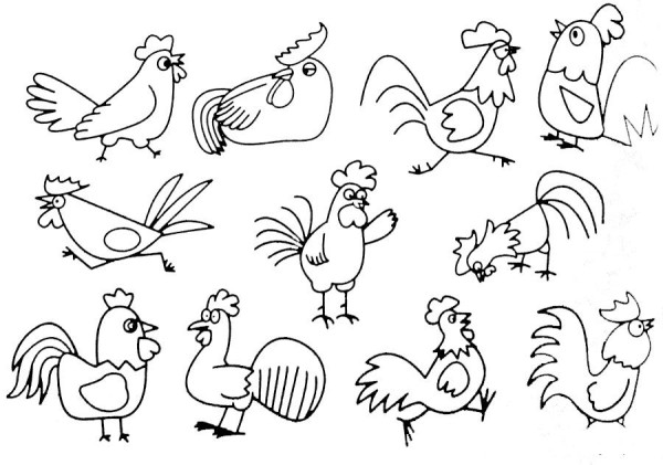 Examples and steps of simple drawing of rooster