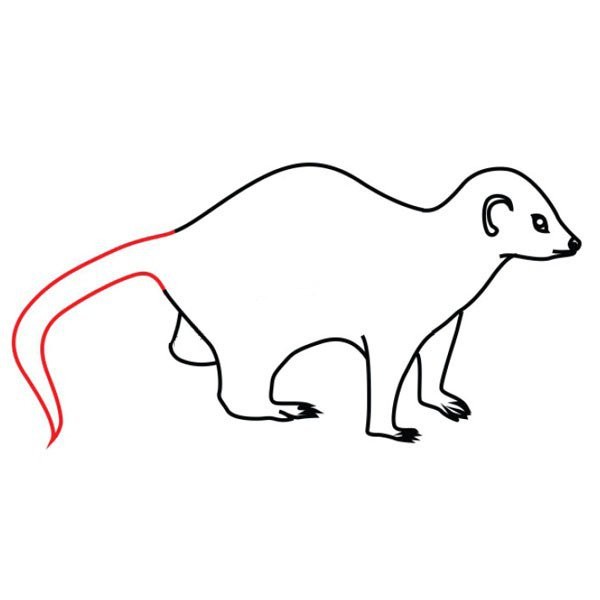 African weasel simple strokes drawing tutorial