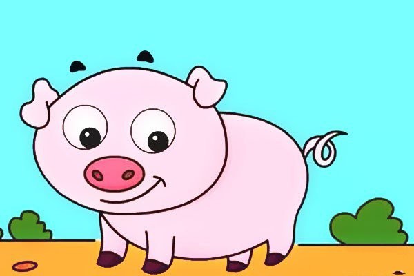 Draw a cute little pig