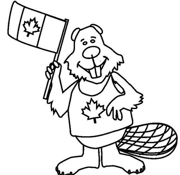 Little bear holding maple leaf