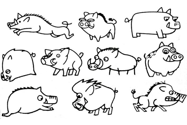 Wild boar simple drawing examples and steps