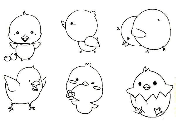 Complete collection of simple chicken drawings and drawing steps