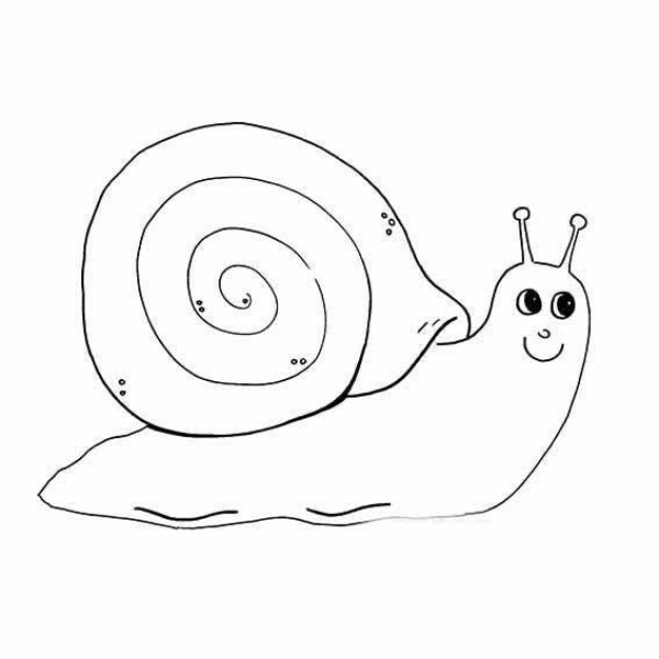 How to draw a simple picture of a snail