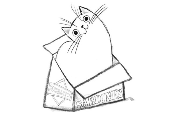 Cute kitten and box simple drawing picture