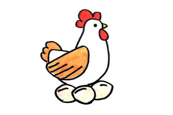 Hen laying eggs simple drawing picture