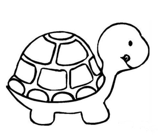 Cute simple drawing of little turtle