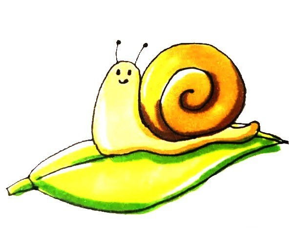 Children learn to draw snails easily