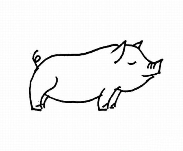 Big fat pig simple strokes picture