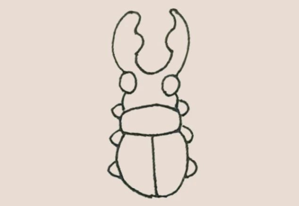 Simple drawing of beetle