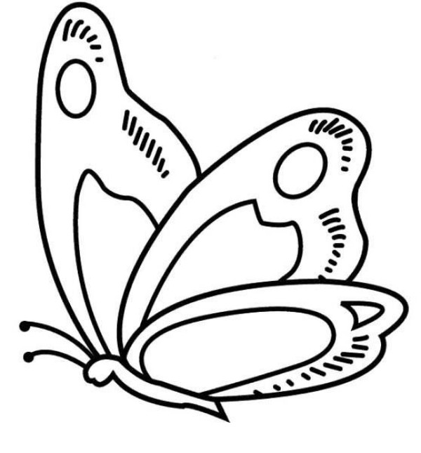 Simple drawing of flying butterfly