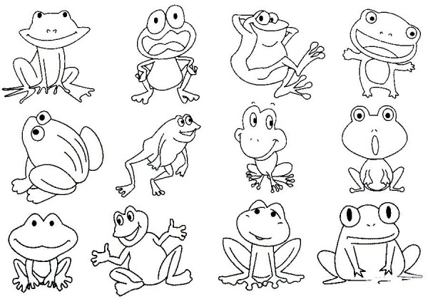 Complete collection of frog simple strokes and drawing steps