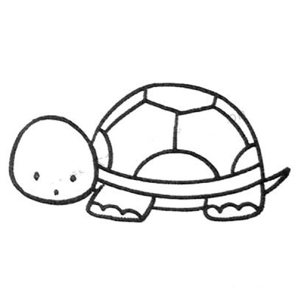 Simple Drawing for Intermediate Level Turtle