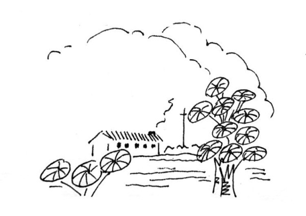 Six simple drawings of beautiful village scenery