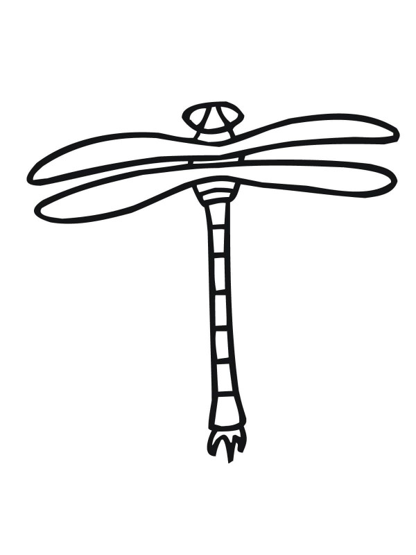 How to draw a dragonfly for children