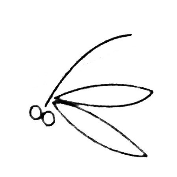 Simple dragonfly drawing pictures and drawing steps