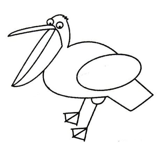 Complete collection of simple strokes of pelican and drawing steps