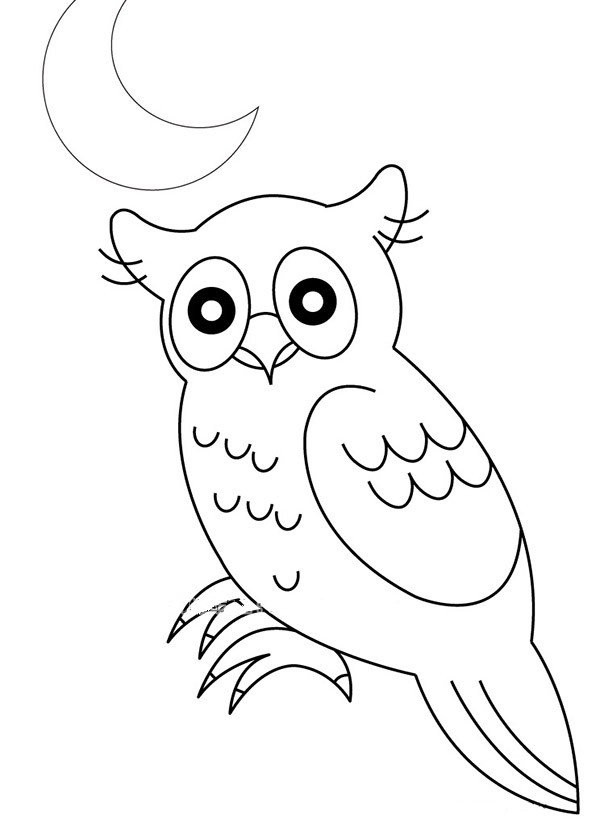 Owl in the moonlight