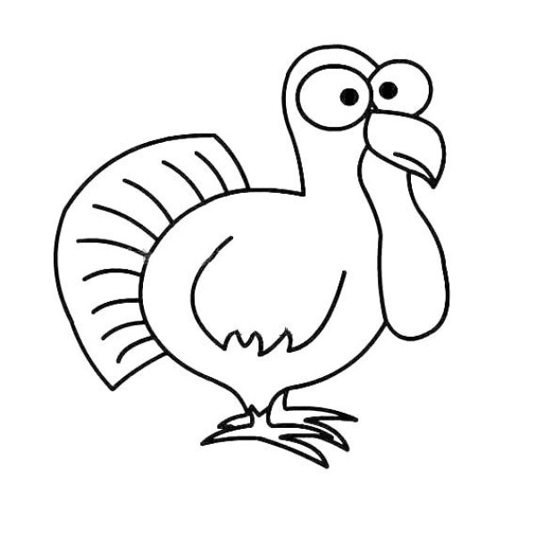 Turkey simple drawing picture