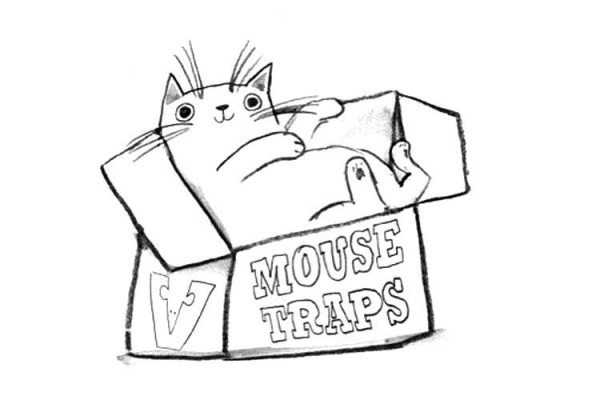 Cute kitten and box simple drawing picture