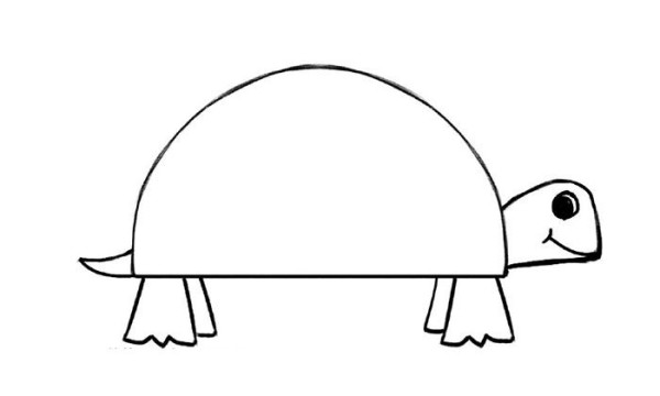 How to draw a cute little turtle in nine steps