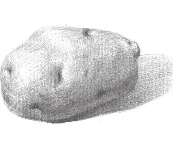 Drawing Techniques of Sketching Potatoes