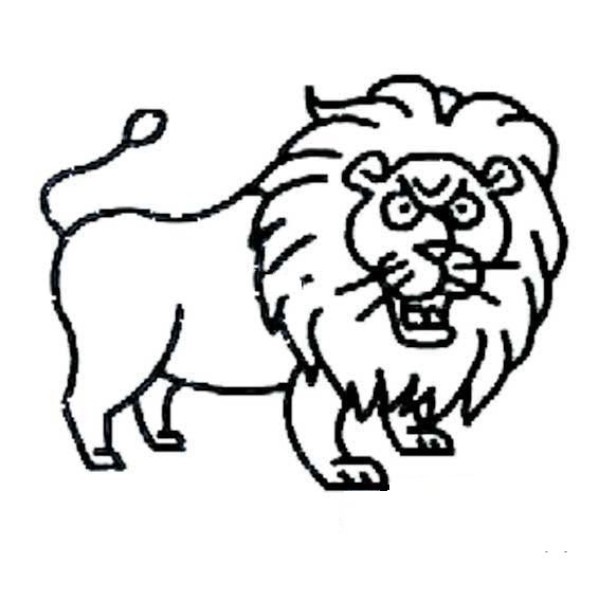 Simple lion drawing picture