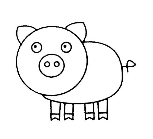 Cute pig simple drawing examples and steps