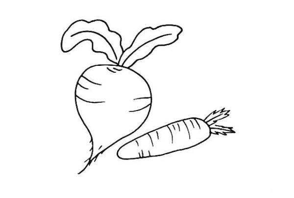 How to draw a radish in simple strokes