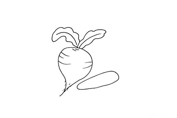 How to draw red radish