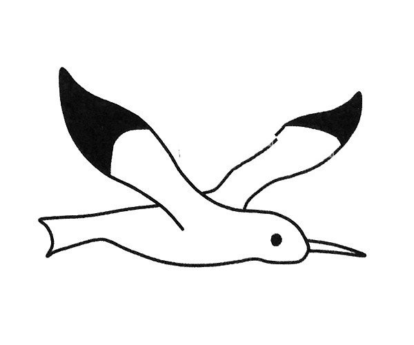 Four beautiful simple drawing pictures of seagulls