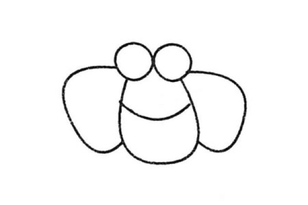 A complete collection of simple drawing pictures of flies and the steps of how to draw them