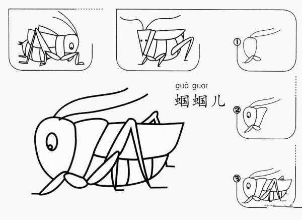 How to draw a Grasshopper