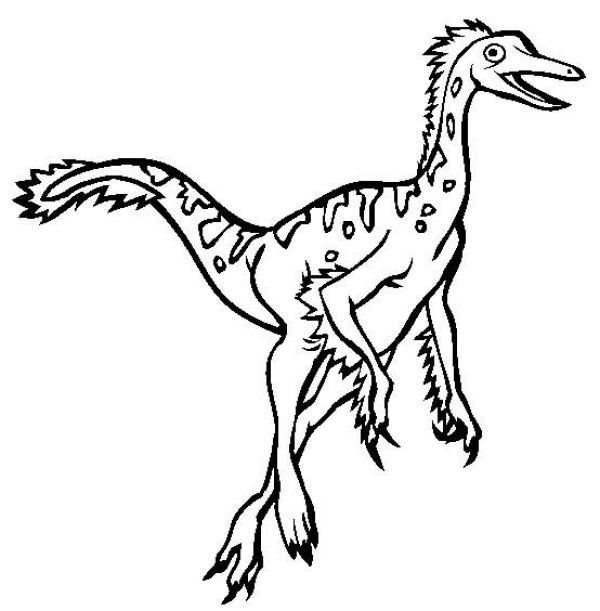 Dinosaur picture collection Emu-like dragon simple drawing picture