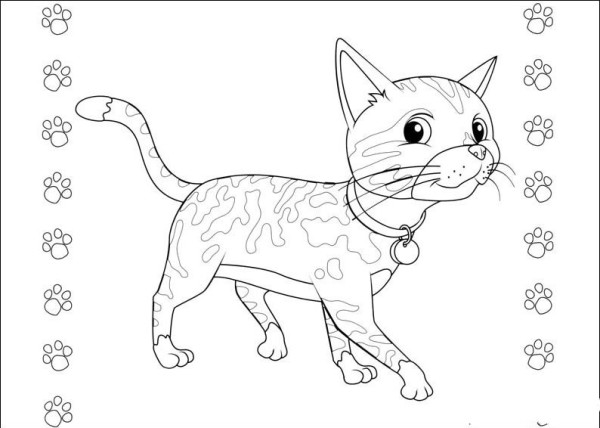 Simple drawings of animals, simple drawings of kittens