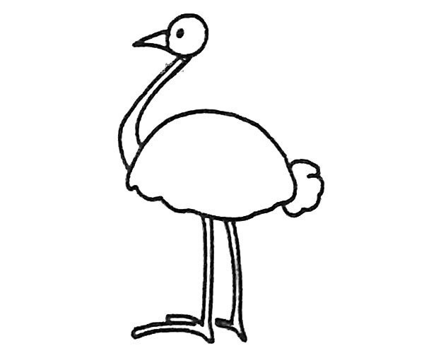 A set of ostrich simple drawing pictures