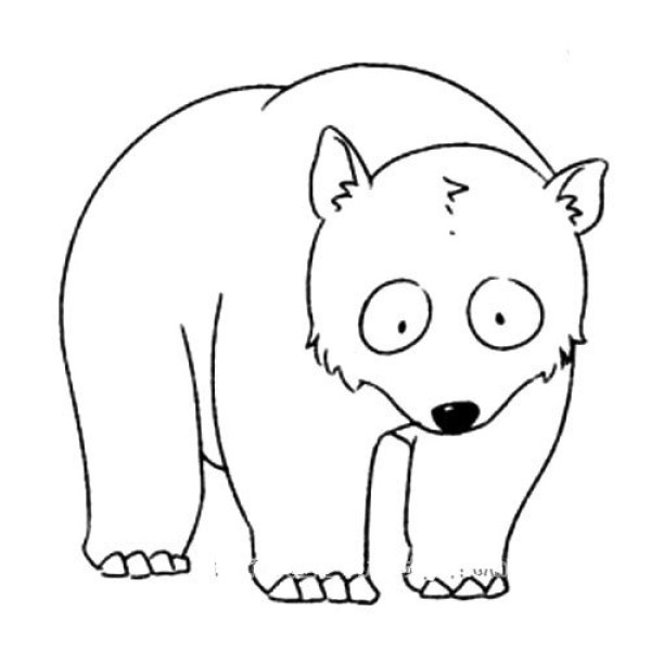 animal drawing polar bear