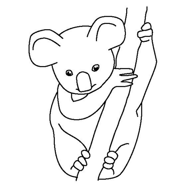 Simple drawings of animals, simple drawings of baby koalas