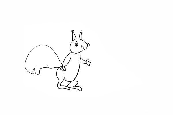 How to draw a little squirrel