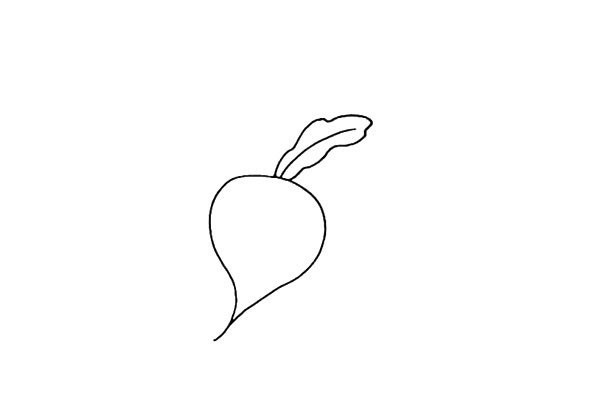 How to draw red radish