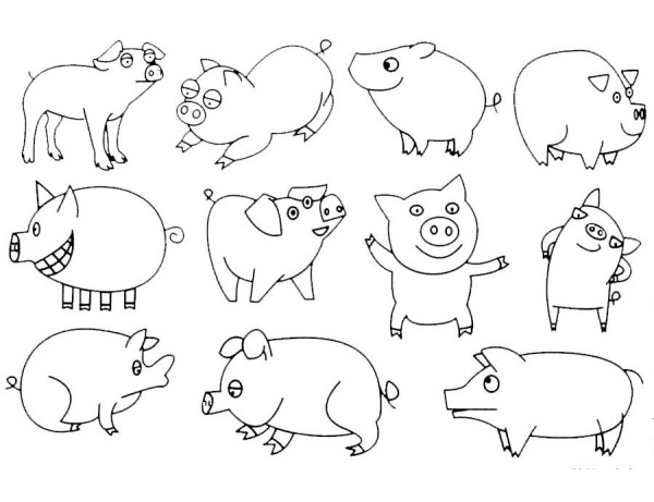 Cute pig simple drawing examples and steps