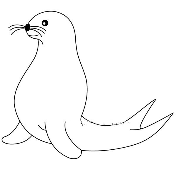 Childrens simple animal drawings seal