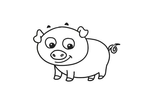 Draw a cute little pig