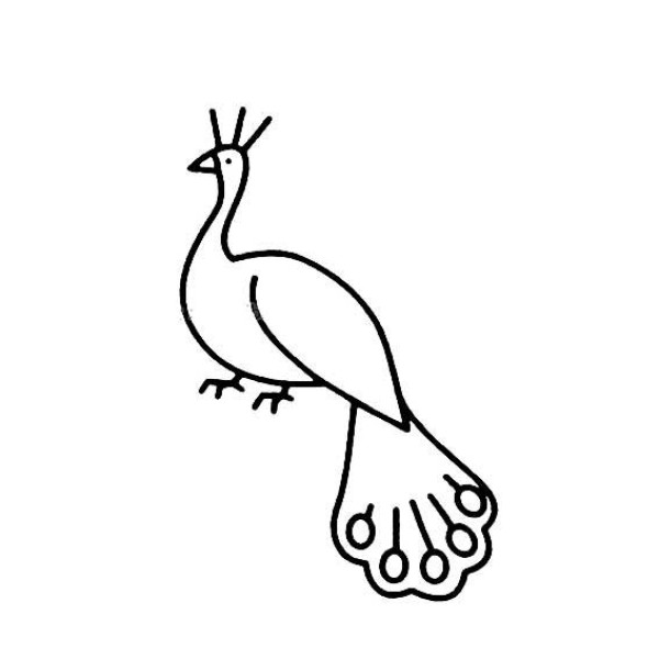 Simple drawing of peacock walking