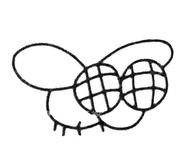 A set of simple drawing pictures of flies