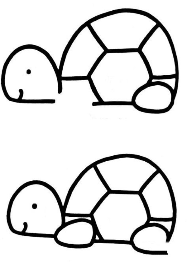 How to draw a cartoon turtle