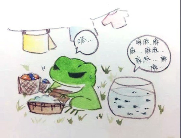 Traveling frog doing laundry