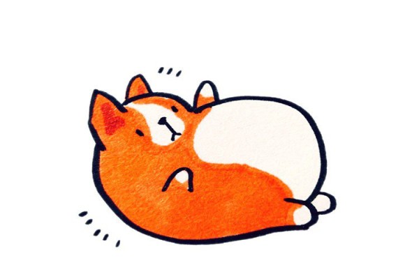 Cute fat corgi simple strokes picture