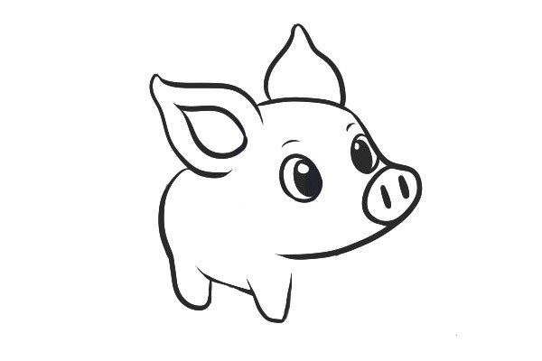 How to draw a simple piglet