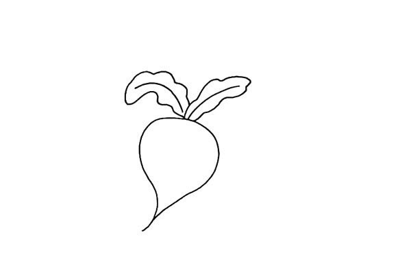 How to draw a radish