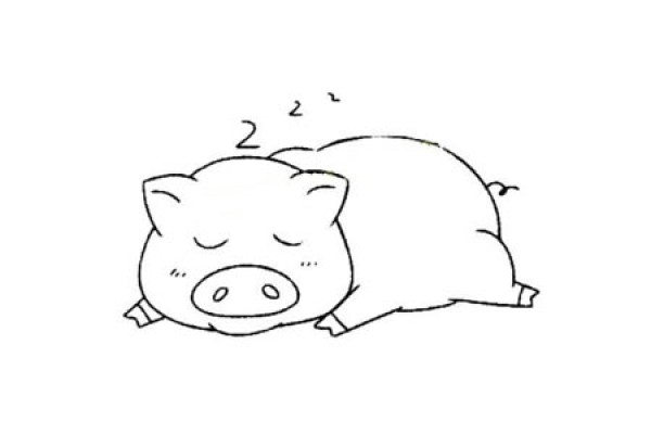 Basic drawing methods of small animals Simple drawing tutorial of pig